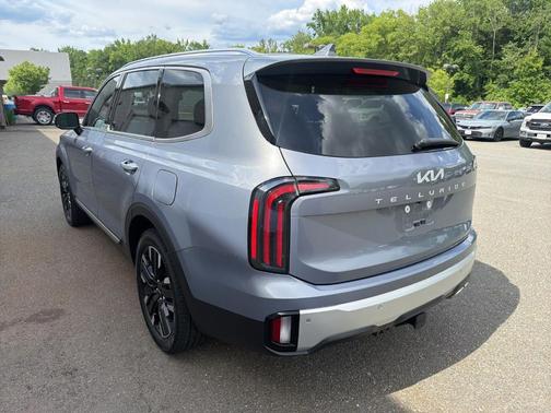 Everlasting Silver 2024 Kia Telluride SX