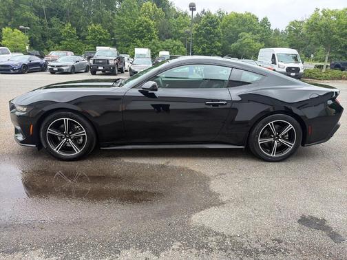 Shadow Black 2024 Ford Mustang EcoBoost
