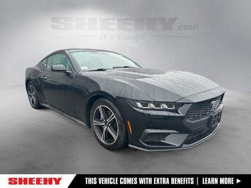 Shadow Black 2024 Ford Mustang EcoBoost