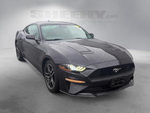 2022 Ford Mustang EcoBoost