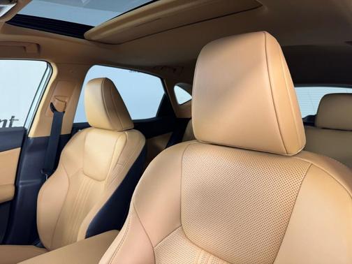 2025 Lexus NX 250 Premium