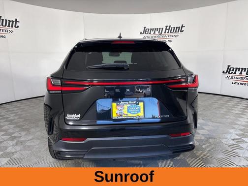 2023 Lexus NX 250 Premium