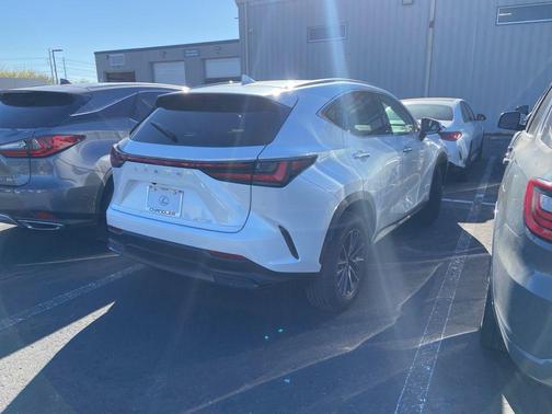 2025 Lexus NX 250 Base