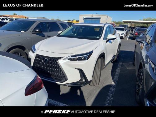 2025 Lexus NX 250 Base