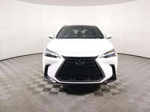 2024 Lexus NX 350h Luxury