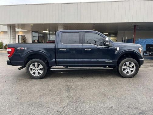 2022 Ford F-150 Platinum