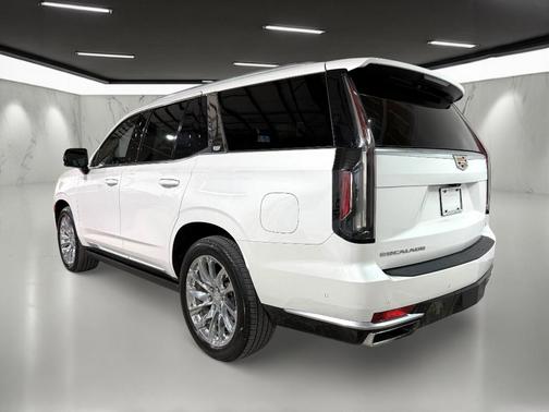 2021 Cadillac Escalade Premium Luxury Platinum