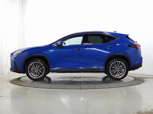 2025 Lexus NX 350 Luxury
