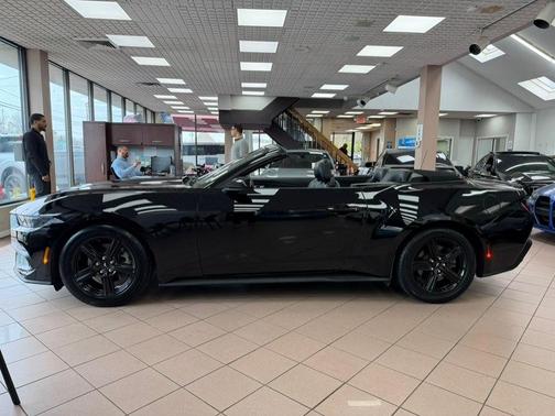 Shadow Black 2025 Ford Mustang EcoBoost Premium