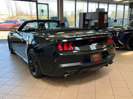Shadow Black 2024 Ford Mustang EcoBoost