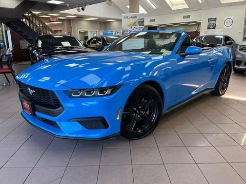 Grabber Blue Metallic 2025 Ford Mustang EcoBoost Premium