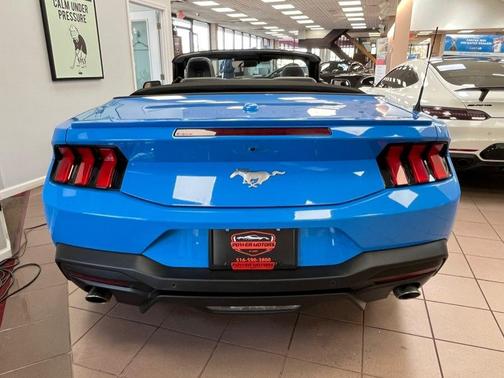 Grabber Blue Metallic 2025 Ford Mustang EcoBoost Premium