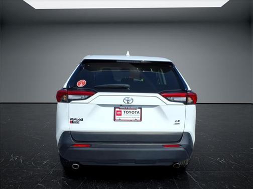 Ice 2024 Toyota RAV4 LE
