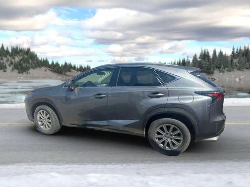 2021 Lexus NX 300 F Sport