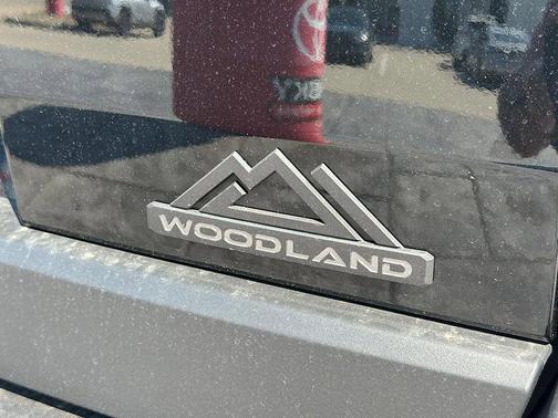 Raven 2026 Toyota bZ Woodland Premium