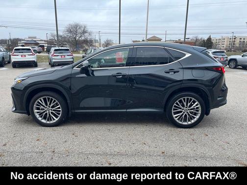 2023 Lexus NX 350h Premium