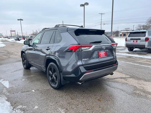 2019 Toyota RAV4 Hybrid SE