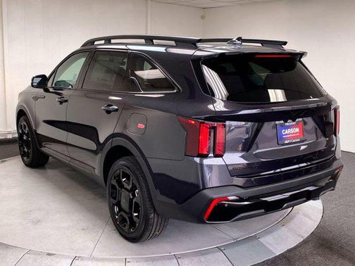 Panthera Metal 2026 Kia Sorento EX
