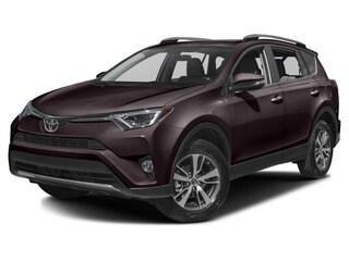 Black Currant Metallic 2017 Toyota RAV4 XLE