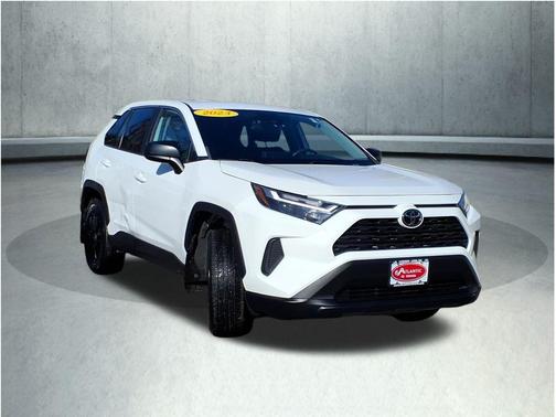 Ice 2023 Toyota RAV4 LE