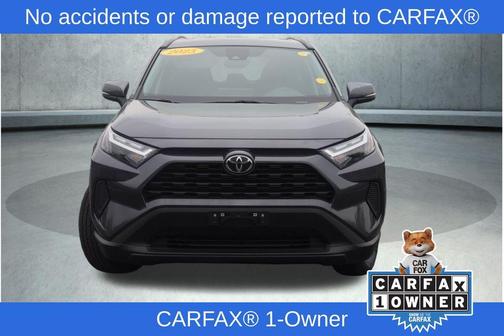 Magnetic Gray Metallic 2025 Toyota RAV4 XLE
