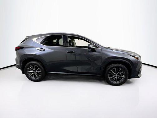 Cloudburst Gray 2025 Lexus NX 350h Premium