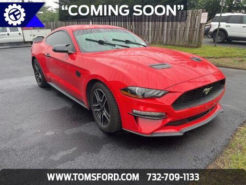 2019 Ford Mustang EcoBoost
