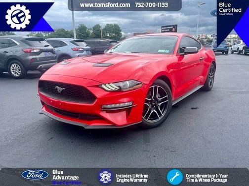 2019 Ford Mustang EcoBoost