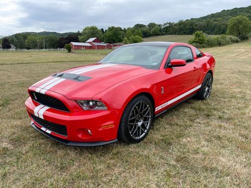 2011 Ford Shelby GT500 Base