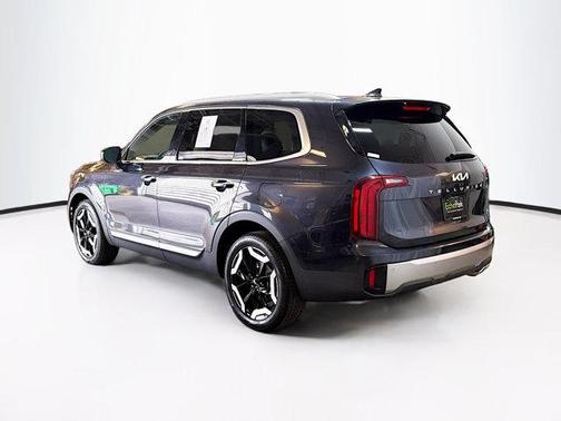 Panthera Metal 2025 Kia Telluride S
