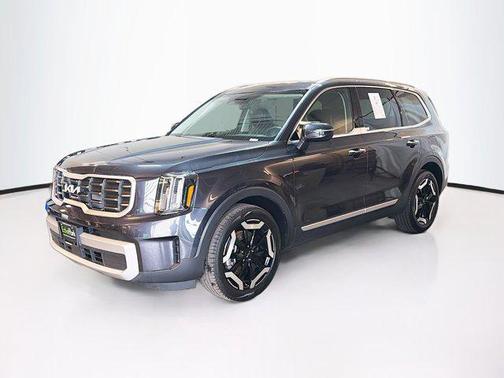 Panthera Metal 2025 Kia Telluride S