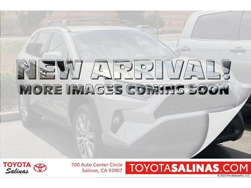 Silver Sky Metallic 2019 Toyota RAV4 XLE Premium