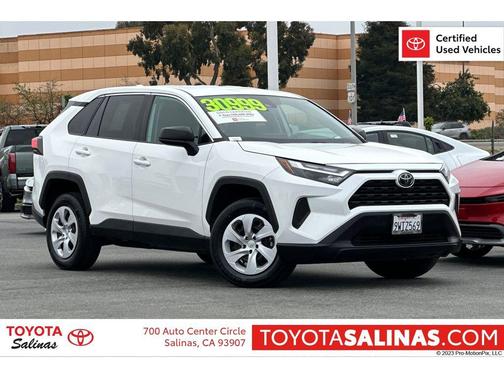 Ice Cap 2024 Toyota RAV4 LE