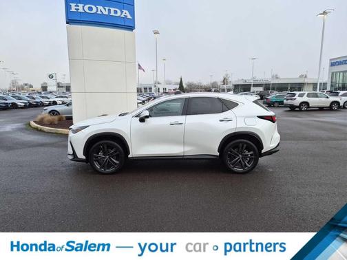 2023 Lexus NX 450h+ Luxury