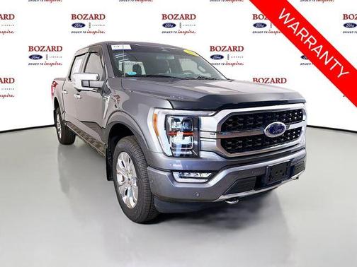 Gray Metallic 2023 Ford F-150 Platinum