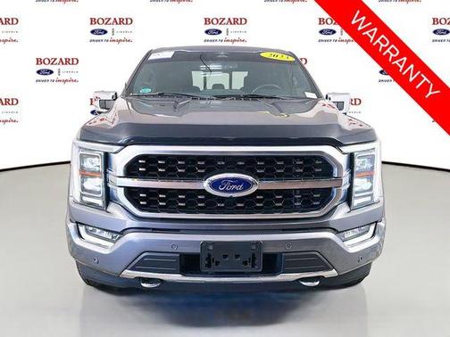 Gray Metallic 2023 Ford F-150 Platinum