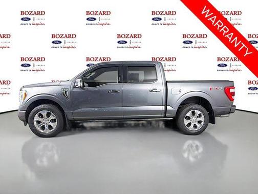 Gray Metallic 2023 Ford F-150 Platinum