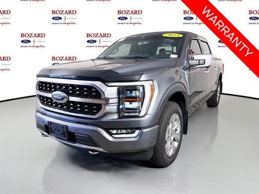 Gray Metallic 2023 Ford F-150 Platinum