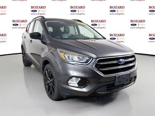 Magnetic 2019 Ford Escape SE