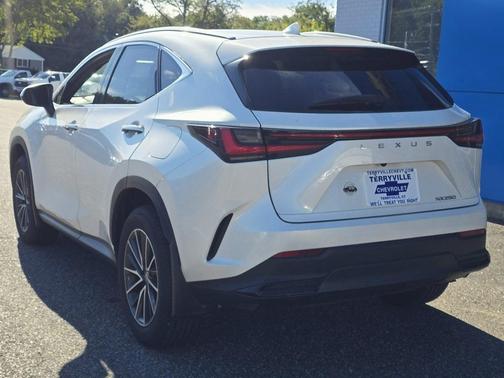 2024 Lexus NX 250 Base