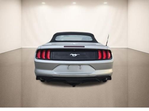 Ingot Silver 2019 Ford Mustang EcoBoost Premium
