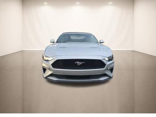 Ingot Silver 2019 Ford Mustang EcoBoost Premium