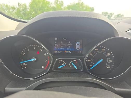Magnetic 2019 Ford Escape SE