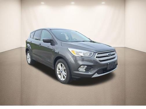 Magnetic 2019 Ford Escape SE