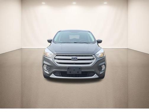 Magnetic 2019 Ford Escape SE