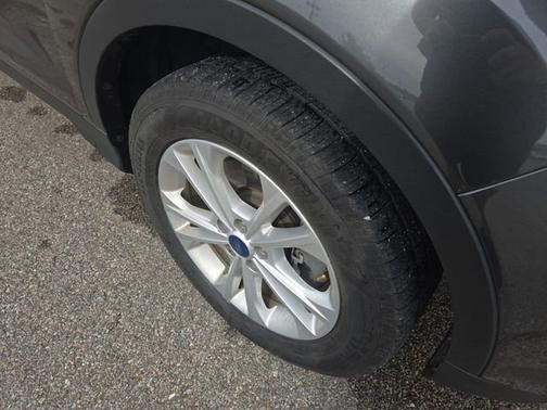 Magnetic 2019 Ford Escape SE