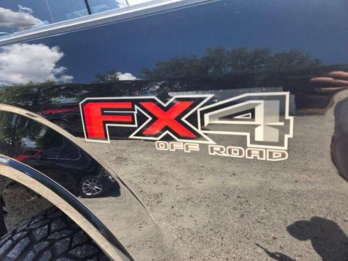 Shadow Black 2018 Ford F-150 Platinum
