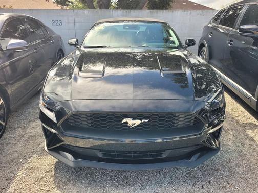 2019 Ford Mustang EcoBoost Premium
