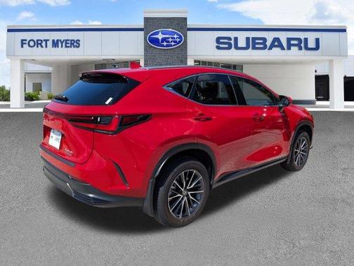 Red Line 2025 Lexus NX 250 Premium