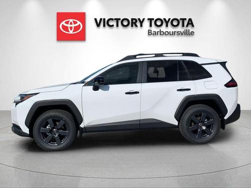 Ice 2026 Toyota RAV4 Woodland